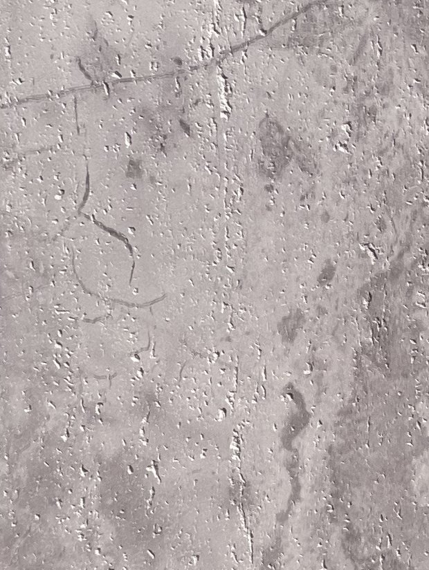 Mist — detail