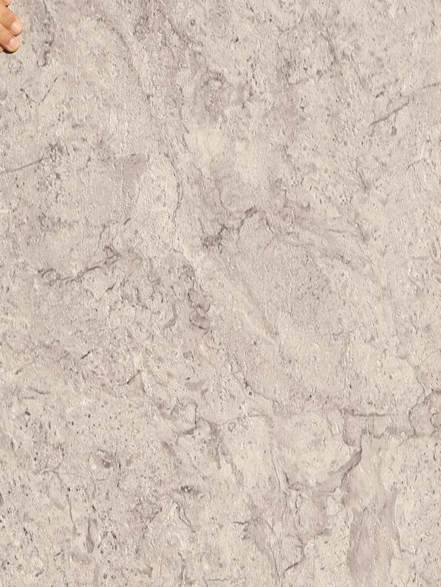 Saltpan — pale grey, fine vein, panel face